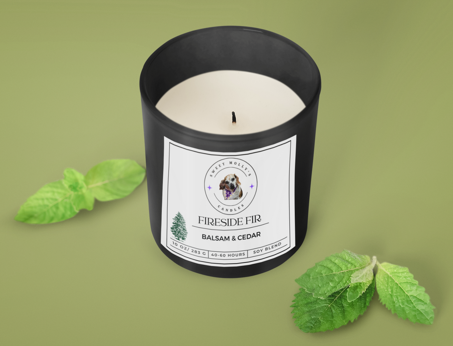 Fireside Fir 10 oz Candle
