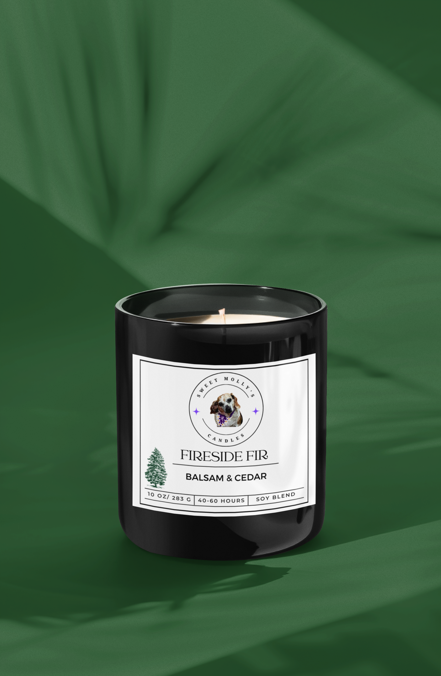 Fireside Fir 10 oz Candle