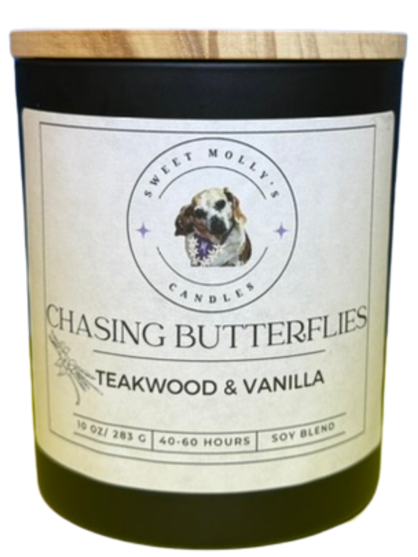 Chasing Butterflies 10 oz Candle