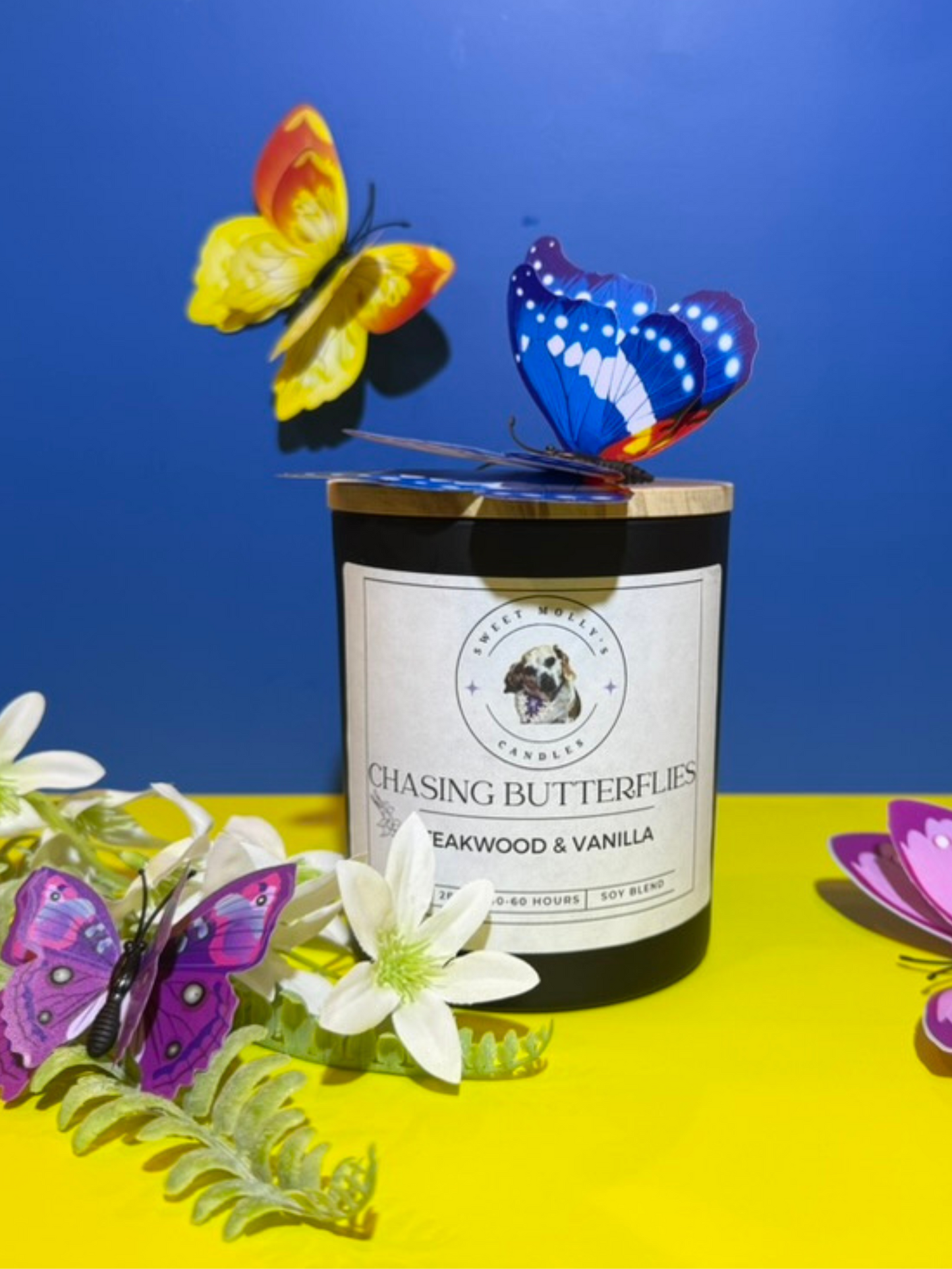 Chasing Butterflies 10 oz Candle