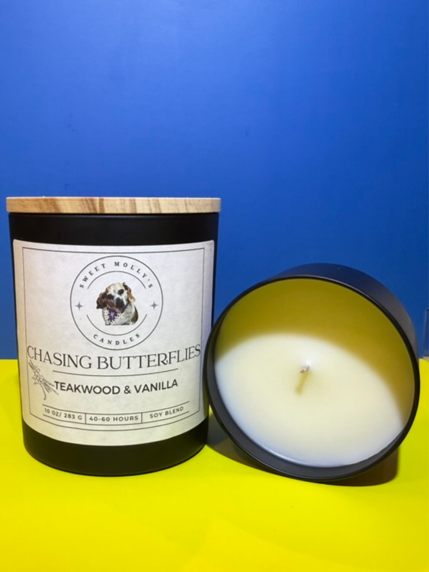 Chasing Butterflies 10 oz Candle