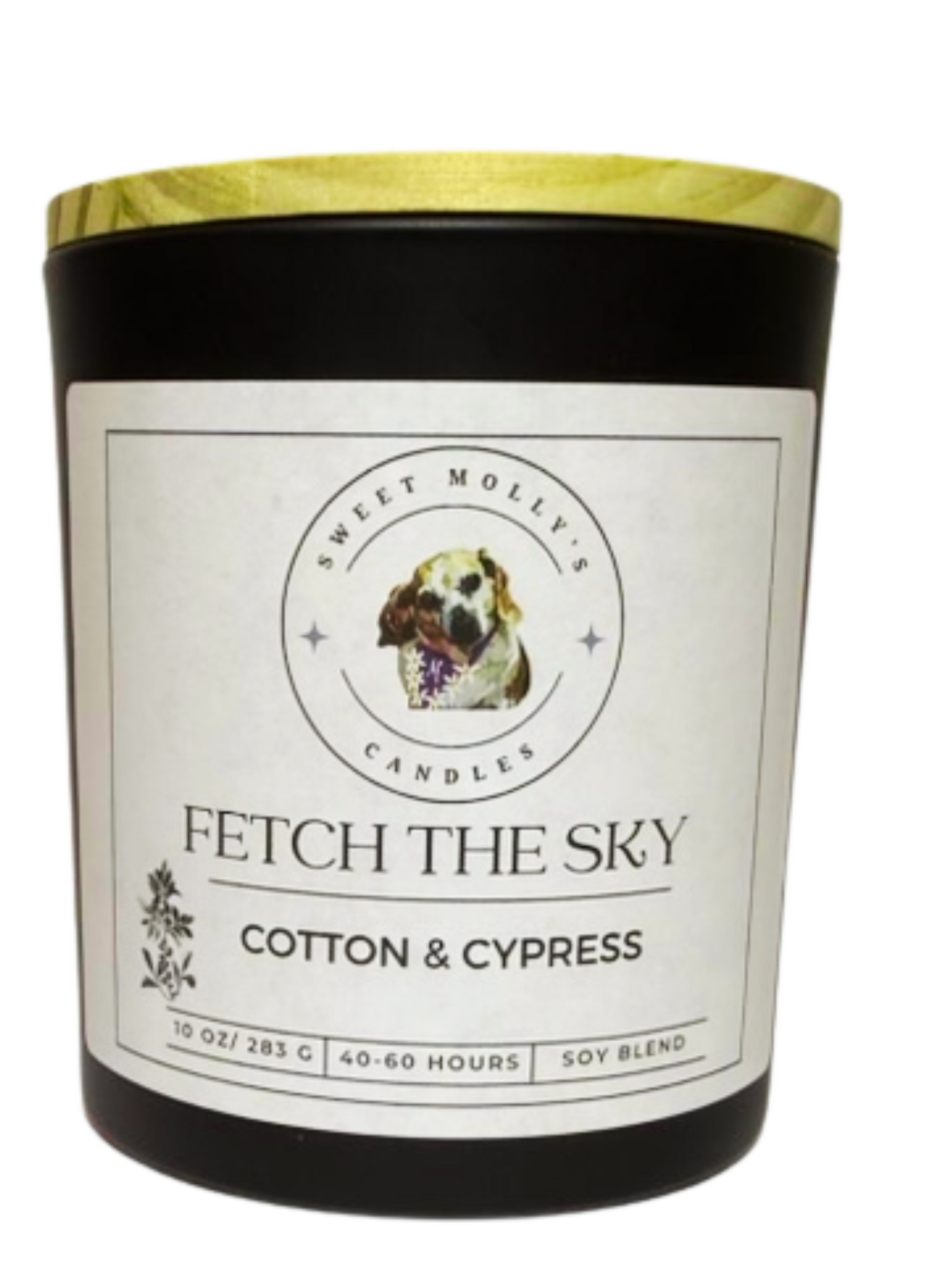 Fetch the Sky 10 oz Candle