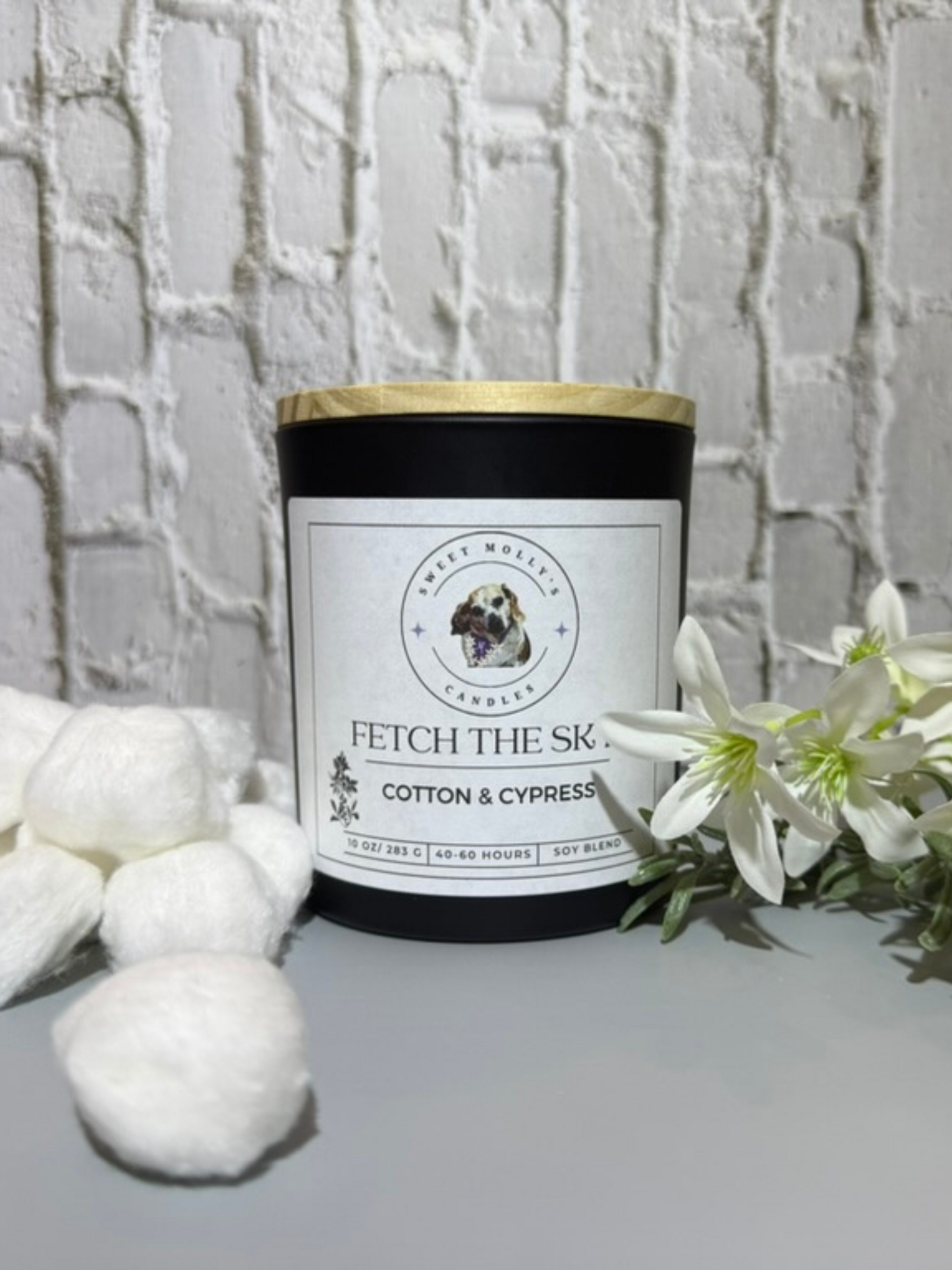 Fetch the Sky 10 oz Candle