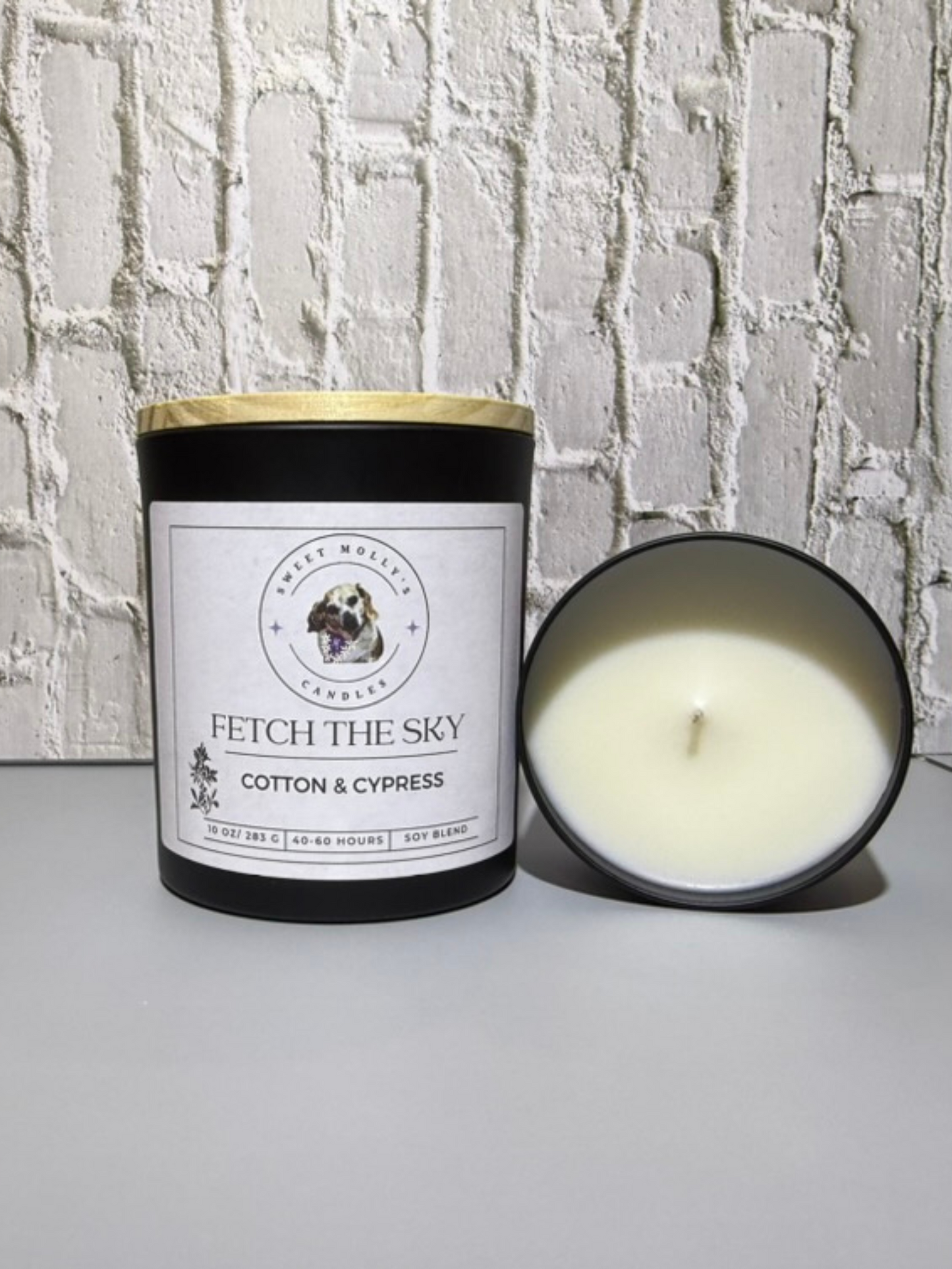 Fetch the Sky 10 oz Candle