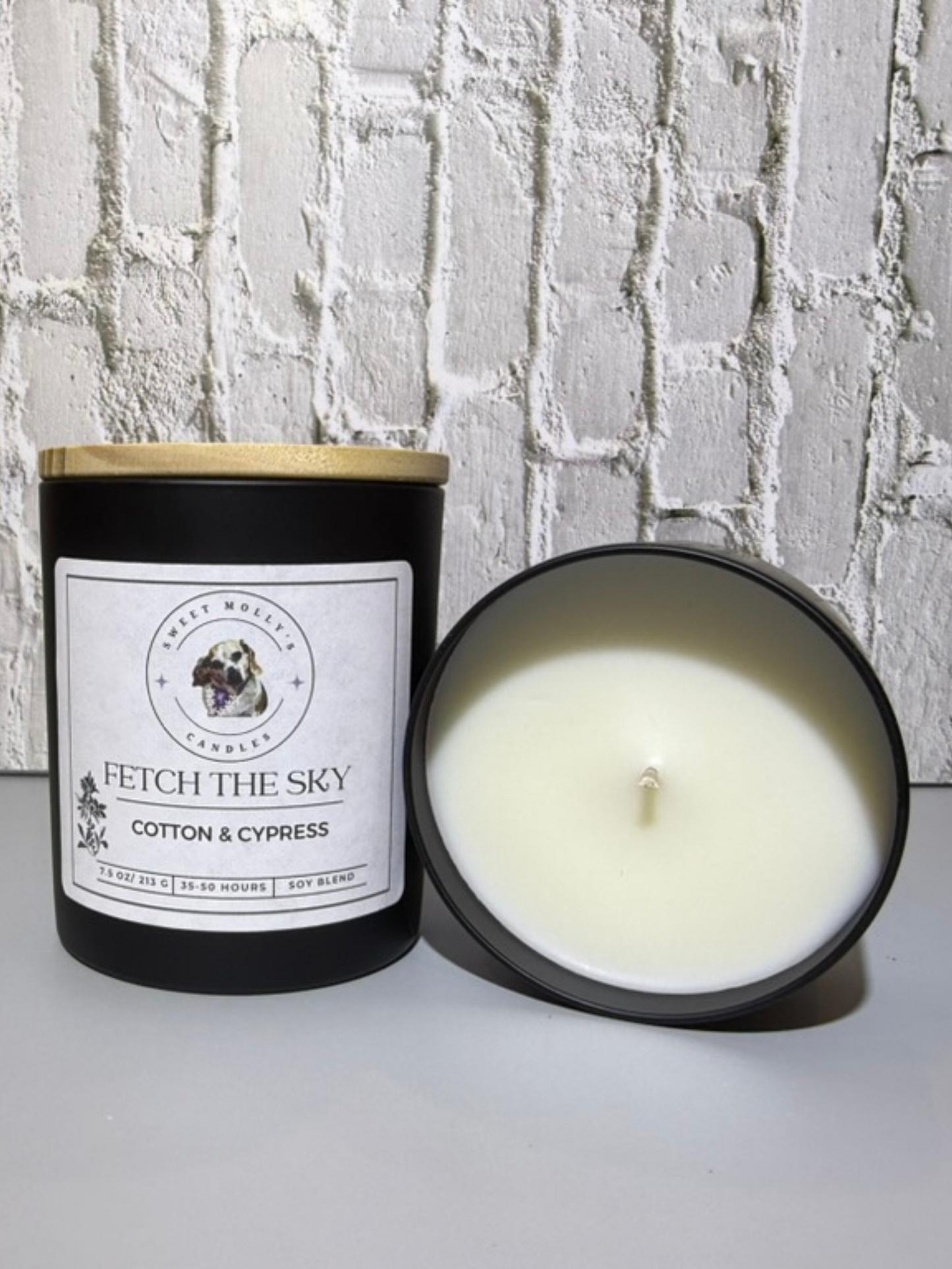 Fetch the Sky 7.5 oz Candle