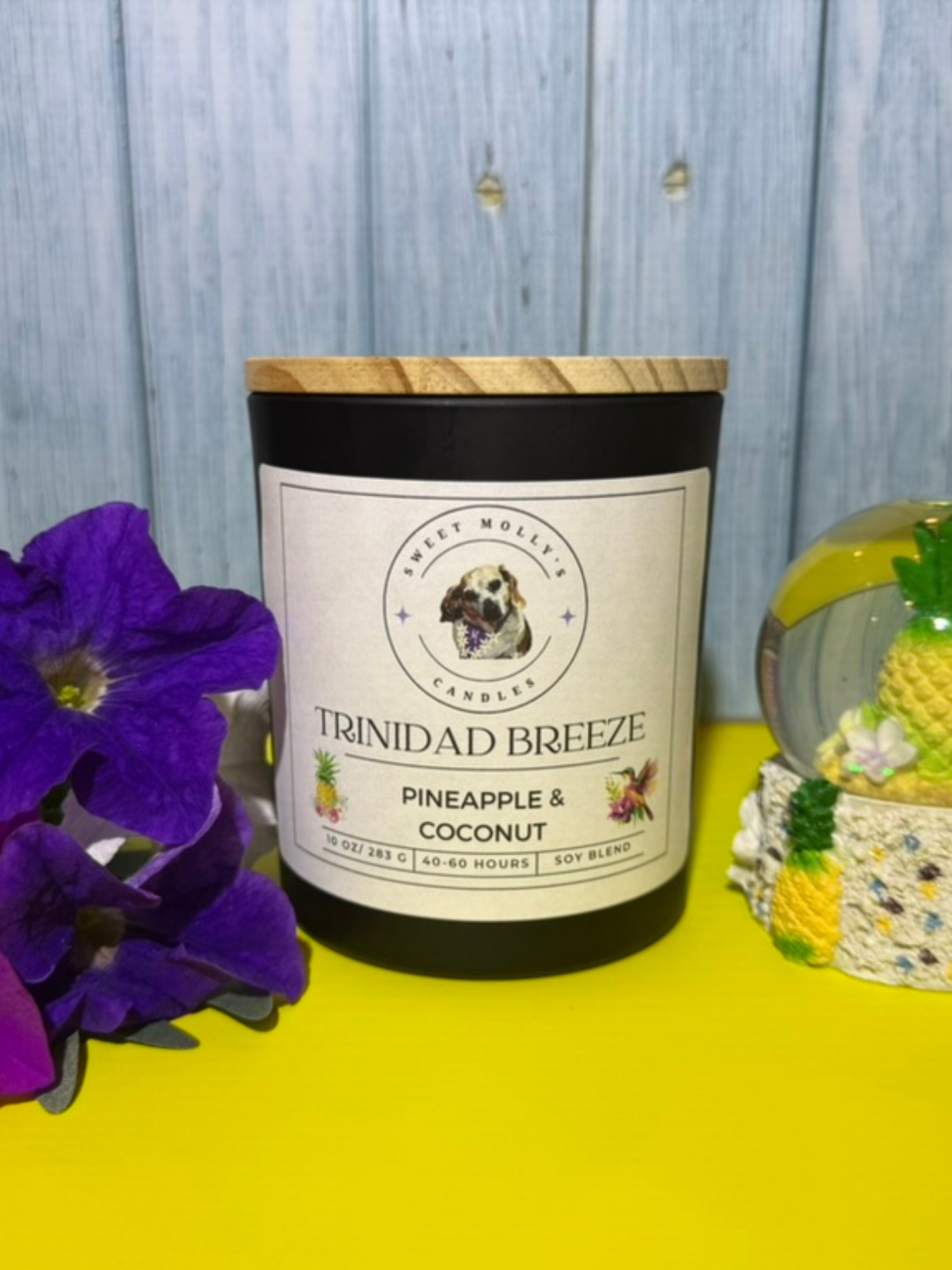 Trinidad Breeze 10 oz Candles