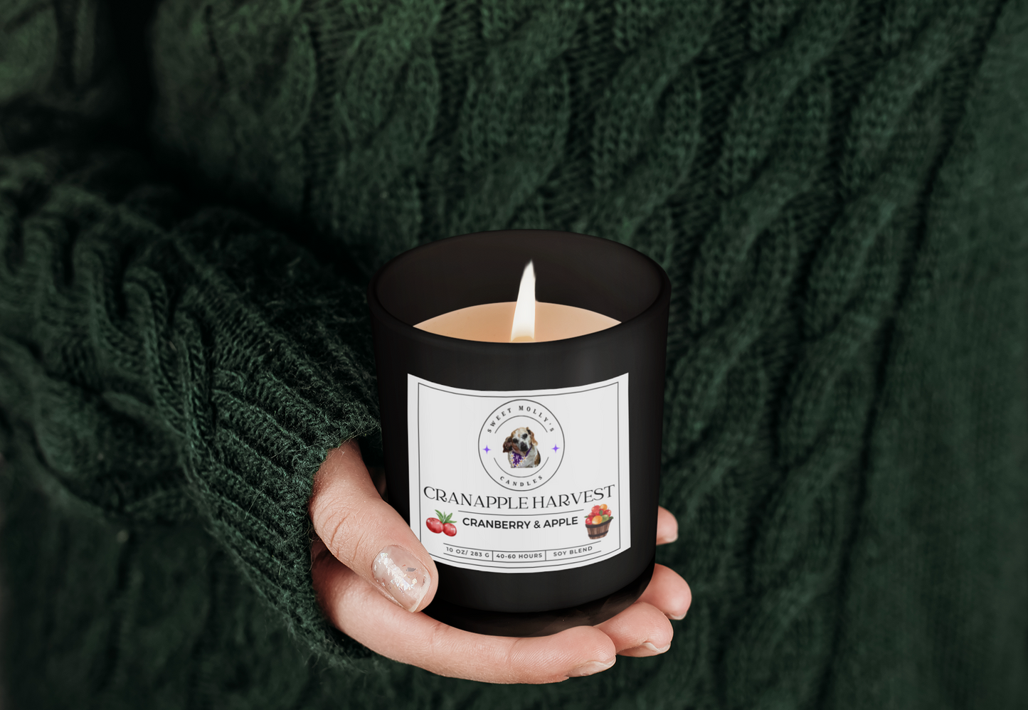 Cranapple Harvest 10 oz Candle