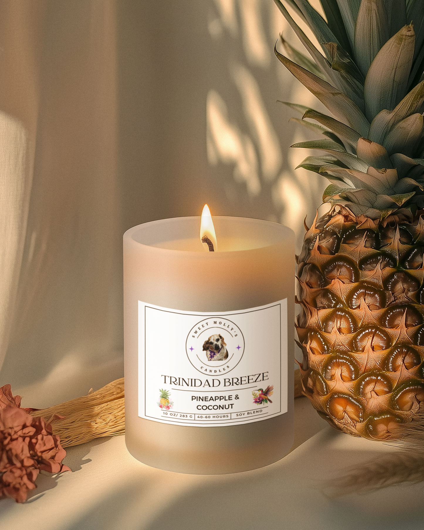 Trinidad Breeze 10 oz Candles