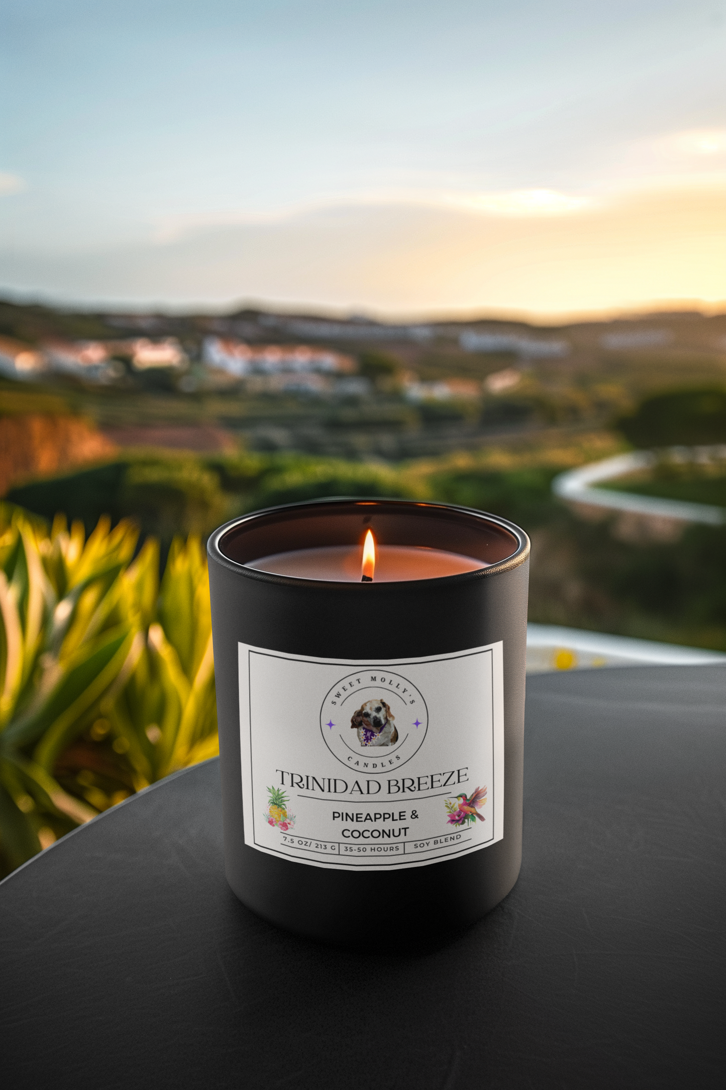 Trinidad Breeze 7.5 oz Candle