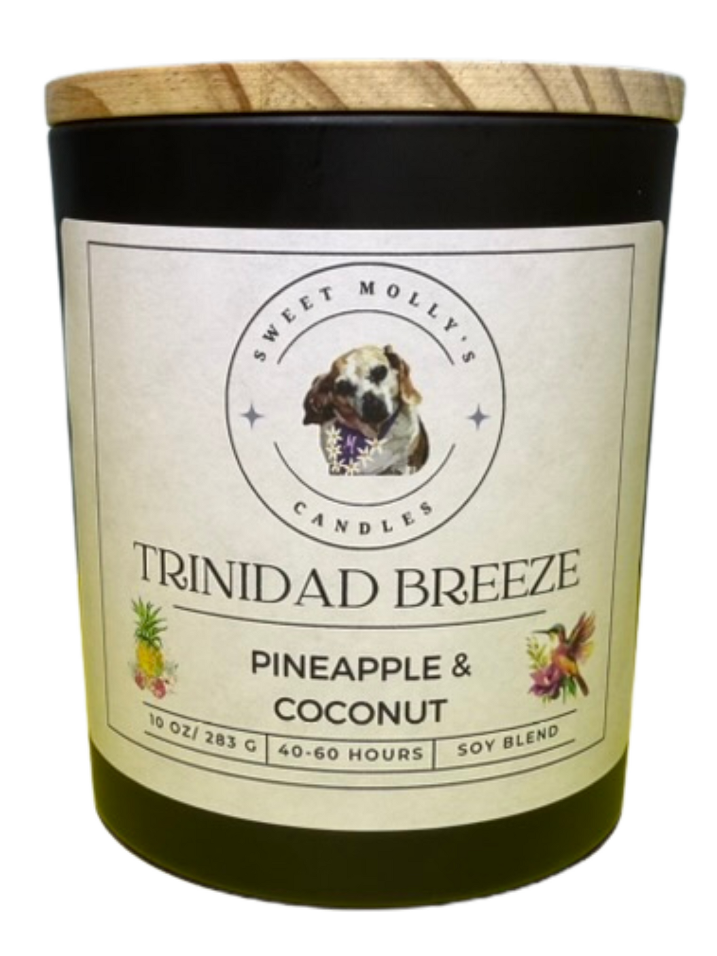 Trinidad Breeze 10 oz Candles