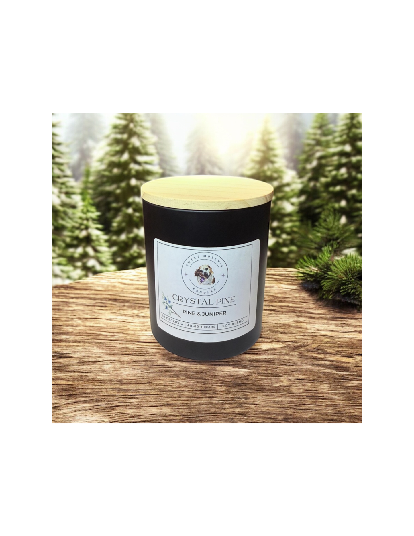 Crystal Pine 10 oz Candle