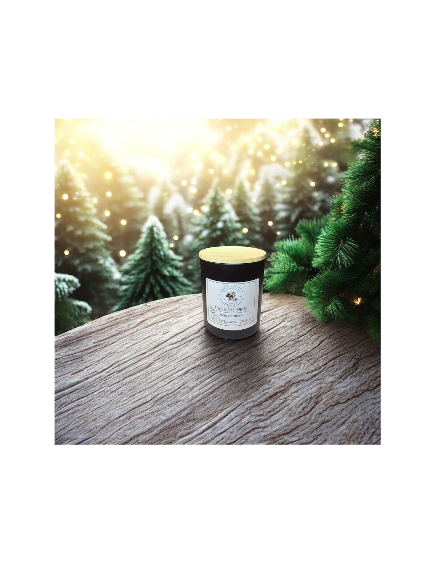 Crystal Pine 10 oz Candle