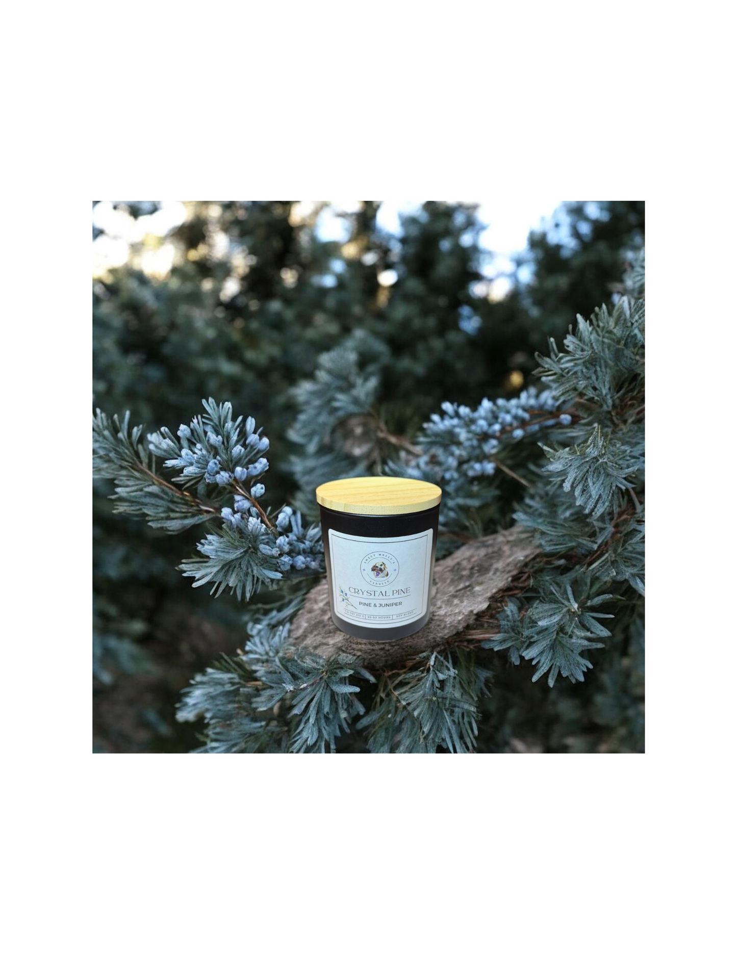 Crystal Pine 7.5 oz Candle