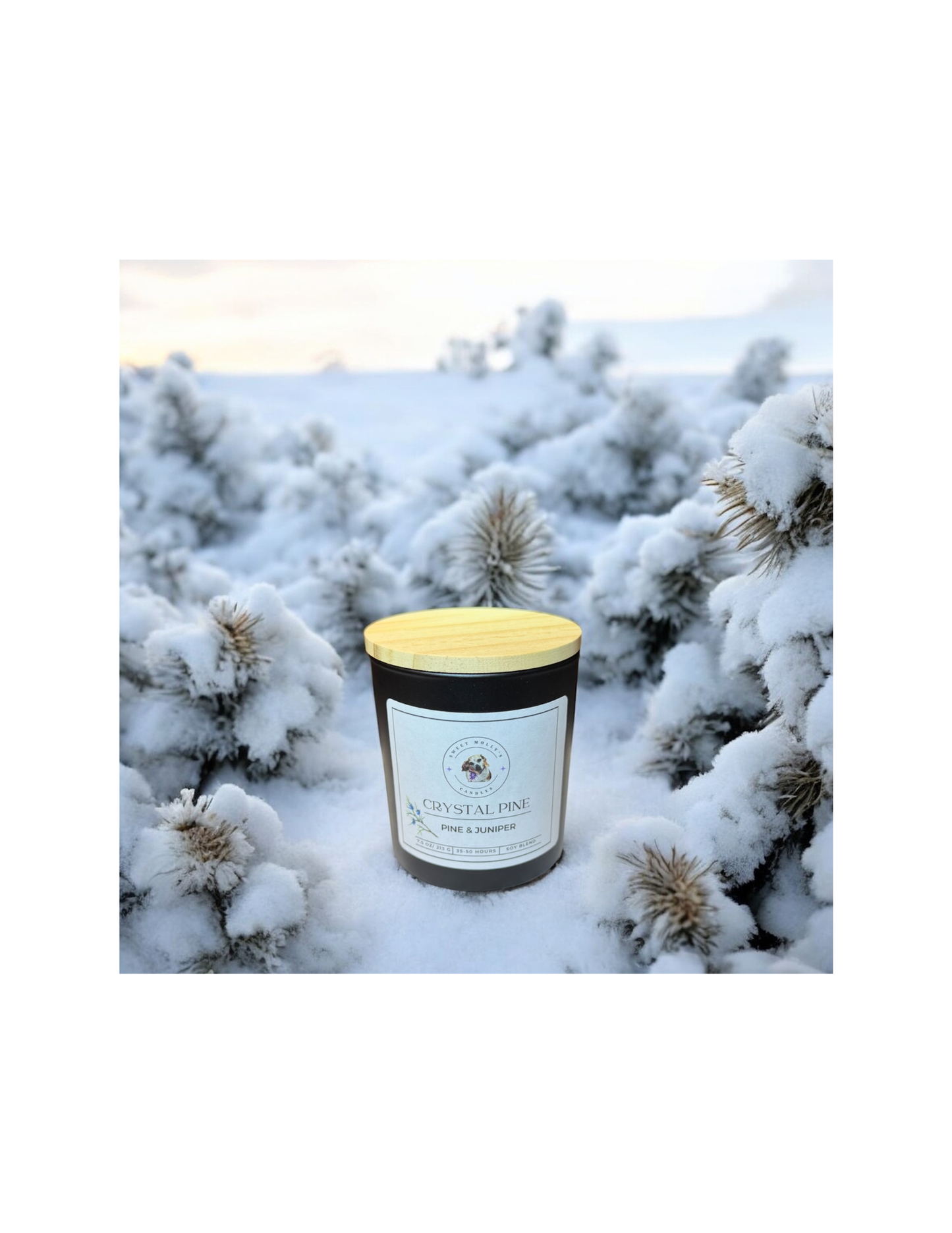 Crystal Pine 7.5 oz Candle