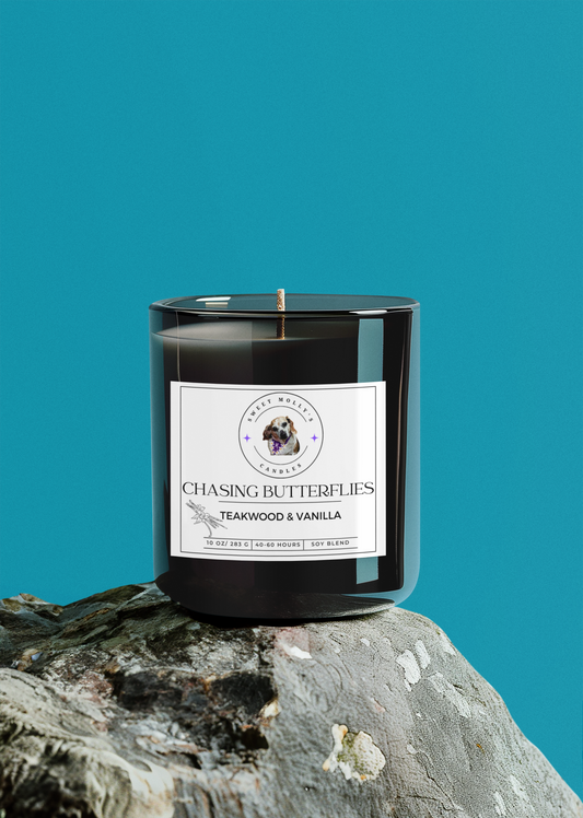 Chasing Butterflies 10 oz Candle