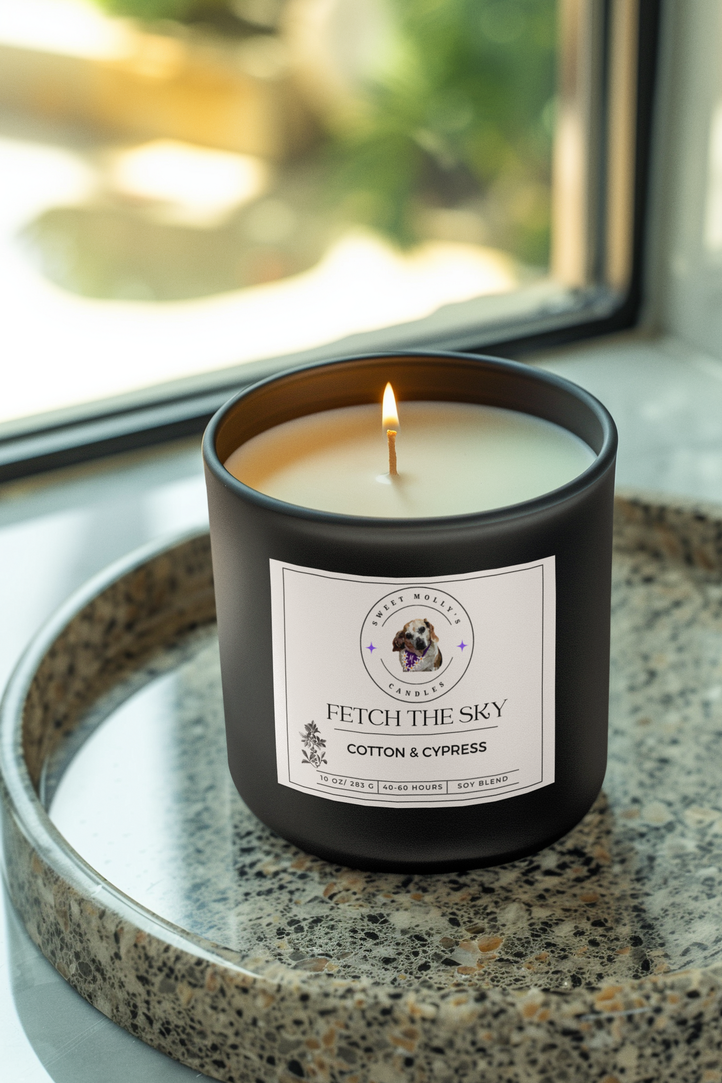 Fetch the Sky 10 oz Candle