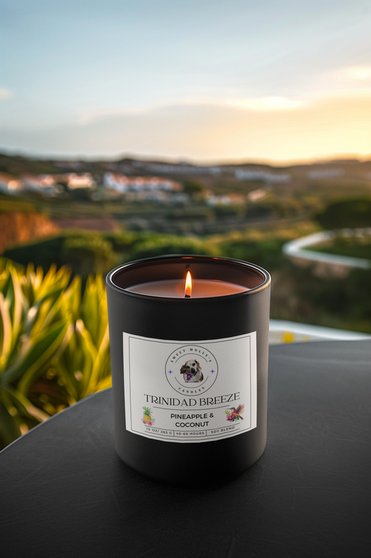 Trinidad Breeze 10 oz Candles