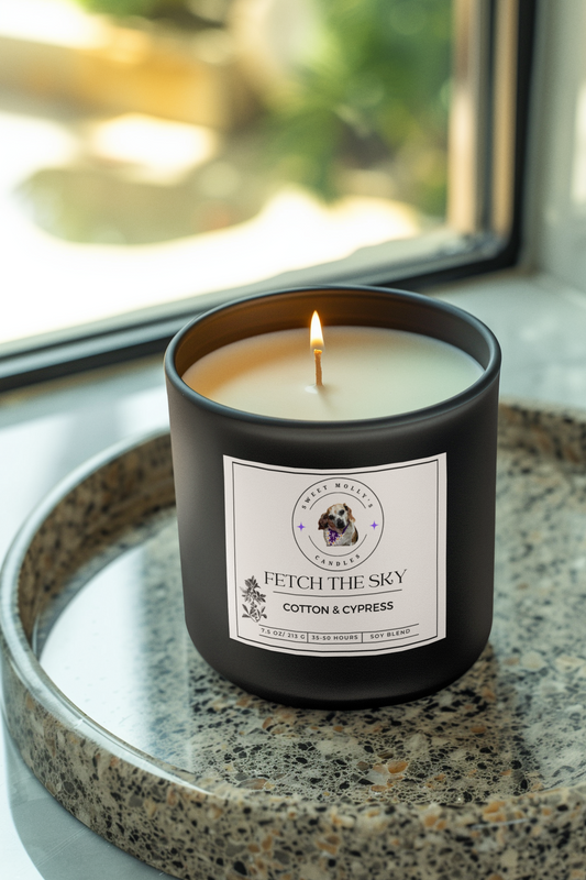 Fetch the Sky 7.5 oz Candle