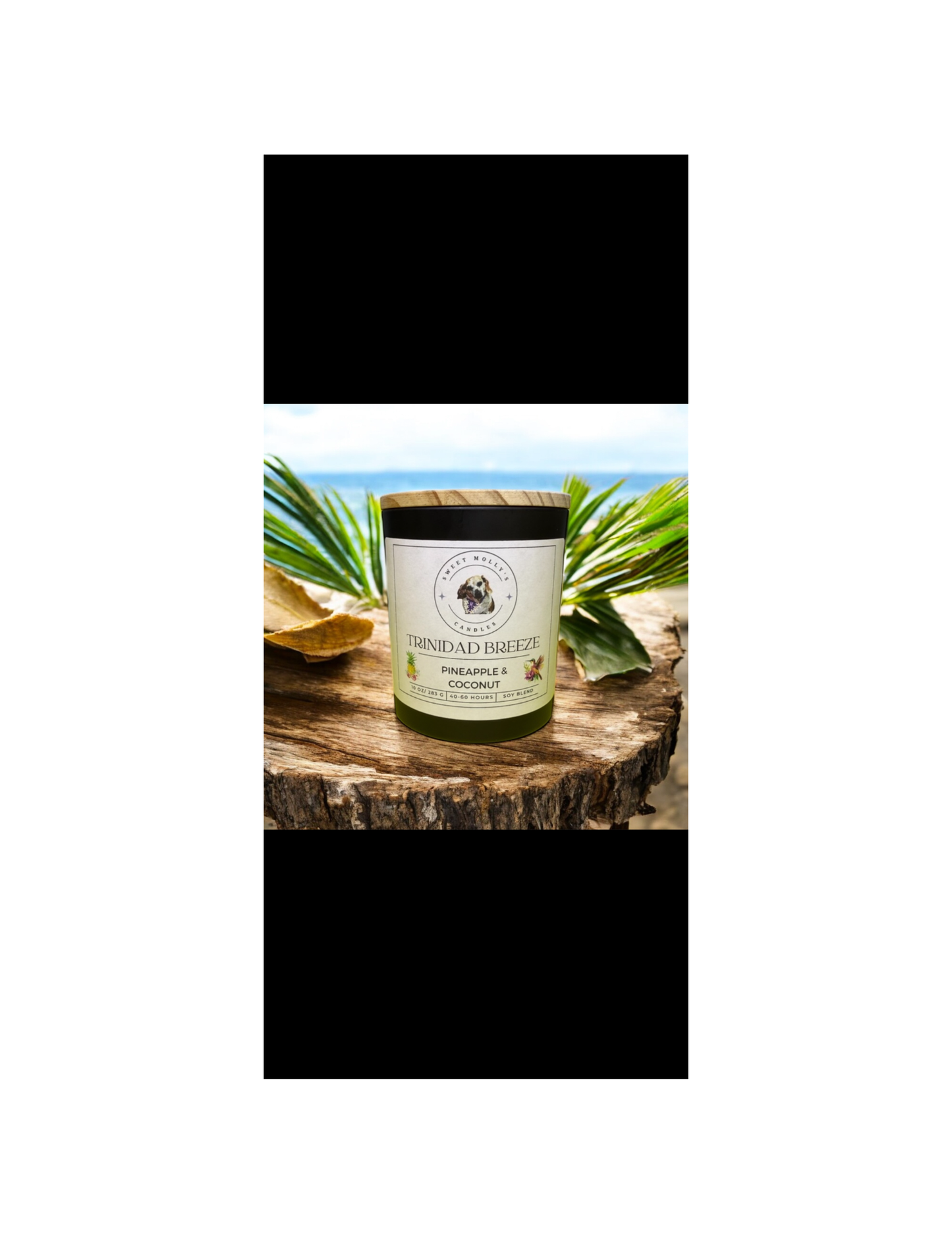 Trinidad Breeze 10 oz Candles